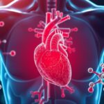 Az HDL-koleszterin és a szív egészsége