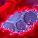 A koaguláció folyamata és mechanizmusai a vérben.