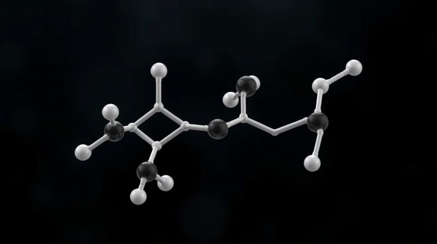 Atropin molekula modell, kémiai szerkezet, gyógyszerhatás