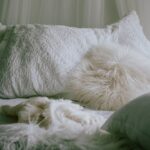 Kényelmes ágyparasztok puha párnákkal és díszpárnákkal.