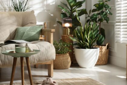 Stílusos otthon részletek növényekkel és dekoratív elemekkel.